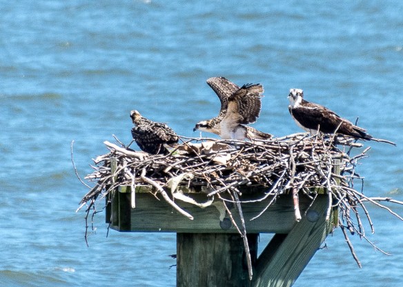 Lin and Michael's Photos