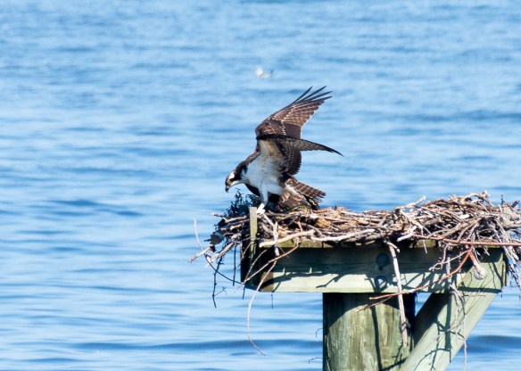 Lin and Michael's Photos