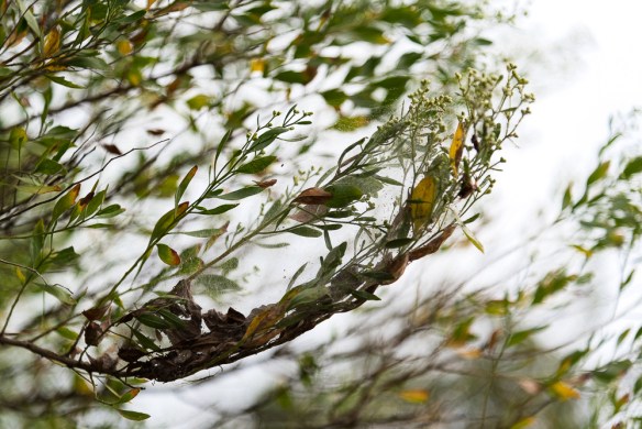 Lin and Michael's Photos