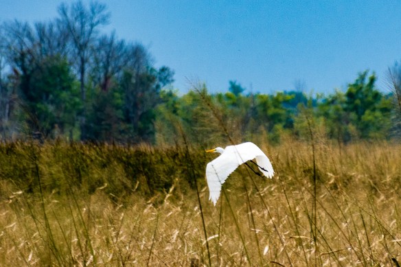 Lin and Michael's Photos