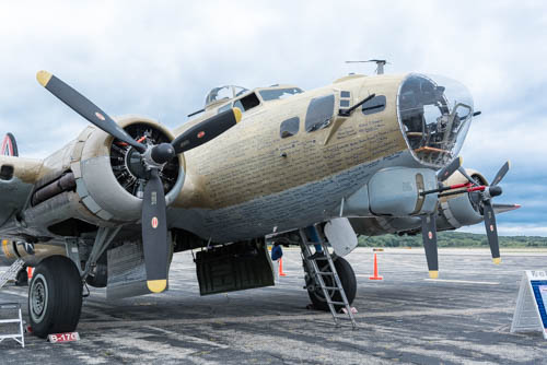 Lin and Michael's Photos