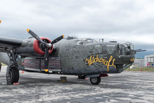 Lin and Michel's Photos