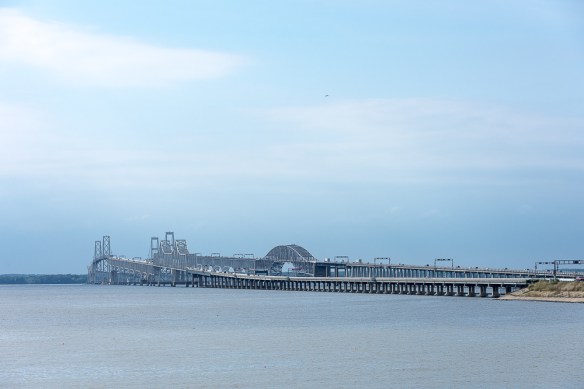 Linn and Michael's Photos