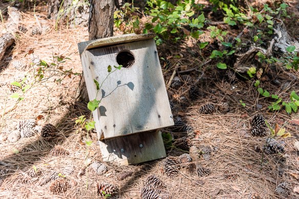 Lin and Michel's Photos