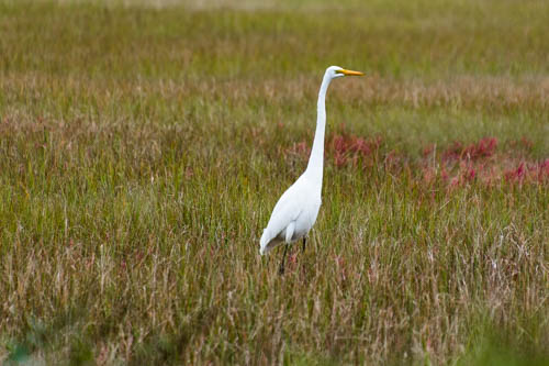 Lin and Michael's Photos