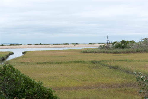 Lin and Michael's Photos