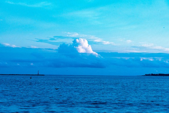 Lin and Michael's Photos