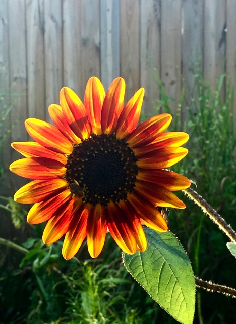 Lin and Michael's Photos