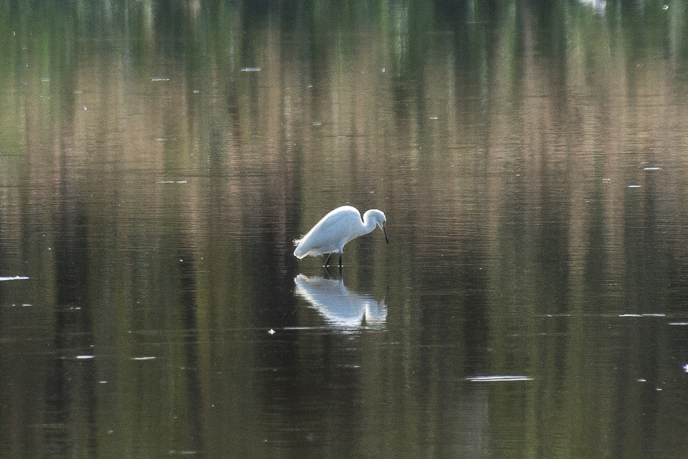 Lin and Michael's Photos