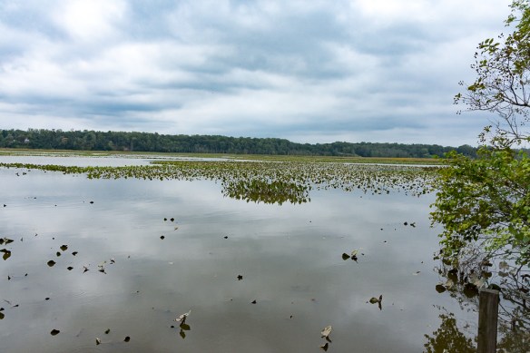 Lin and Michael's Photos