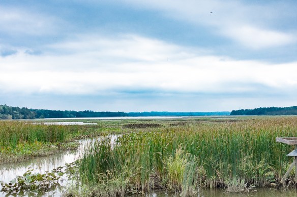 Lin and Michael's Photos