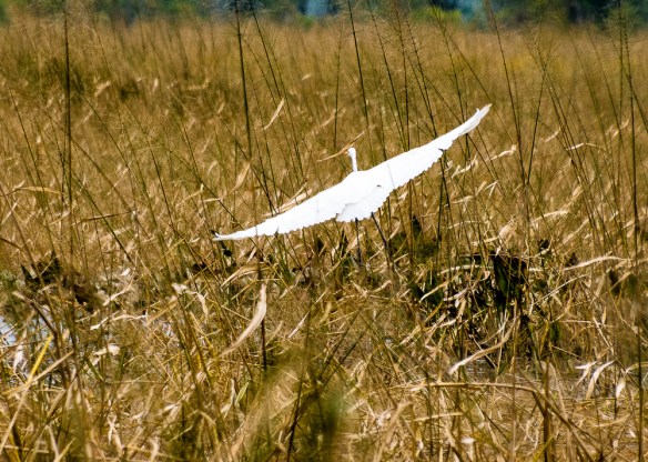 Lin and Michael's Photos