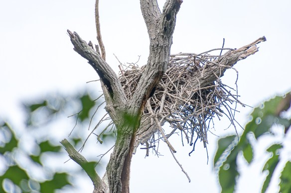 Lin and Michael's Photos