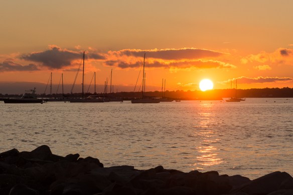 Lin and Michael's Photos