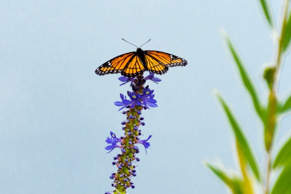 Lin and Michael's Photos