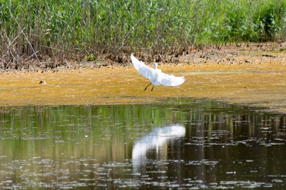 Lin and Michael's Photos