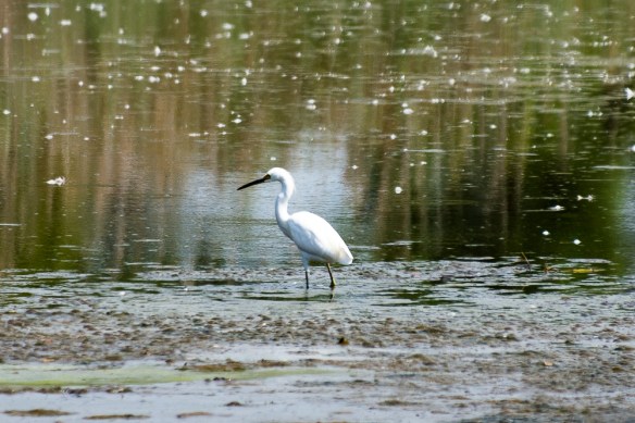 Lin and Michael's Photos