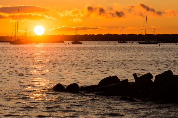 Lin and Michael's Photos