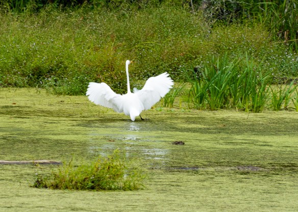 Lin and Michael's Photos