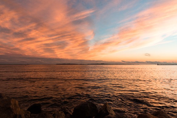 Lin and Michael's Photos