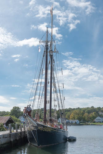 Lin and Michael's Photos