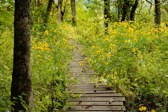 Lin and Michael's Photos