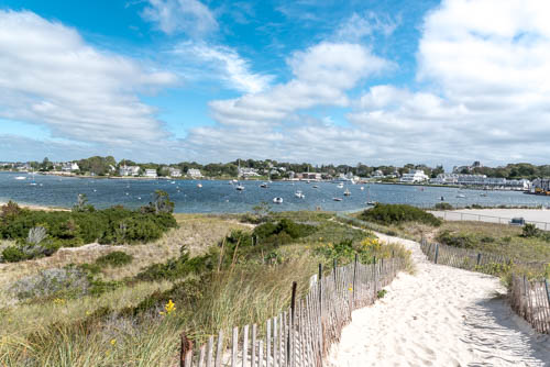 Lin and Michael's Photo