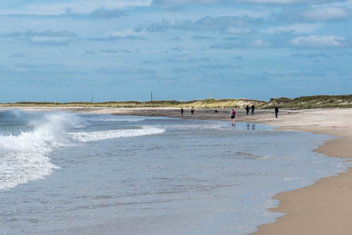 Lin and Michael's Photos