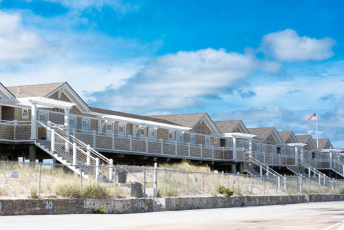 Lin and Michael's Photos