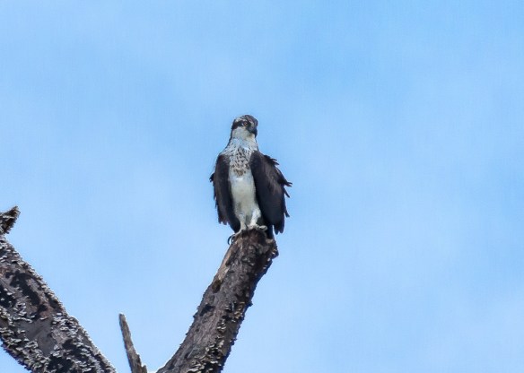 Lin and Michael's Photos