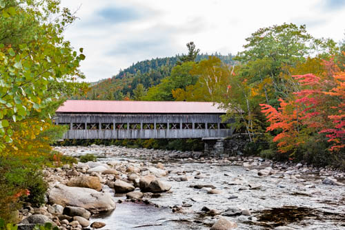 Lin and Michael's Photos