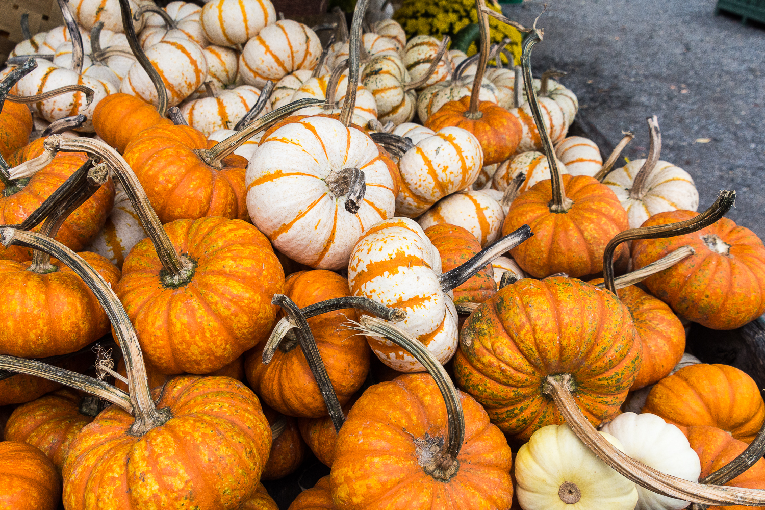 Lin and Michael's Photos