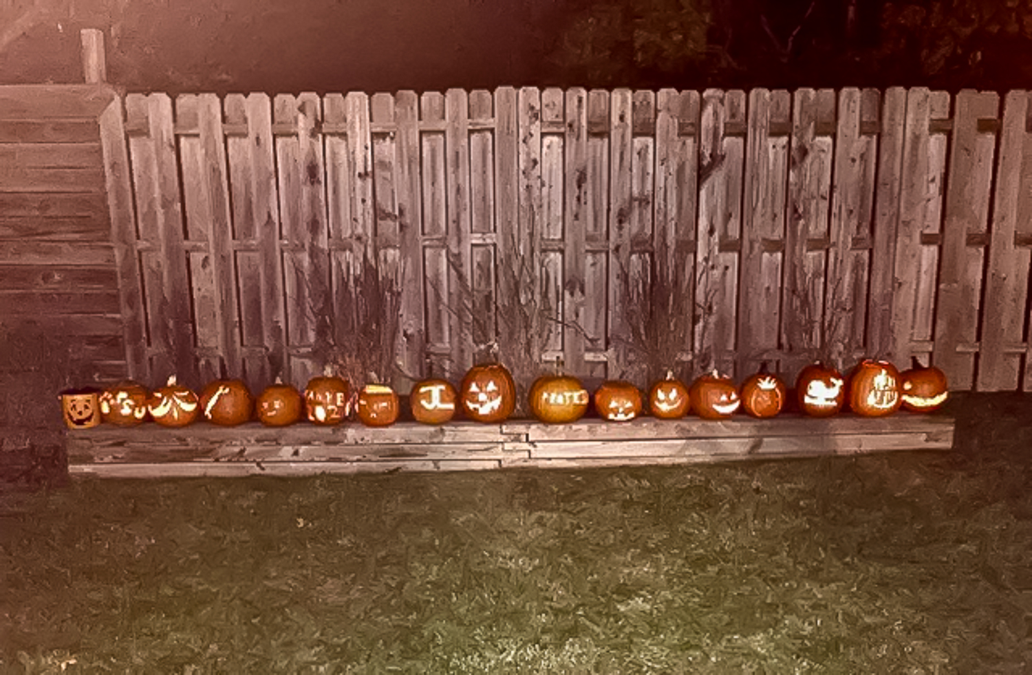 Lin and Michael's Photos