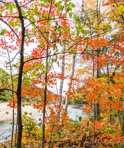 Lin and Michael's Photos