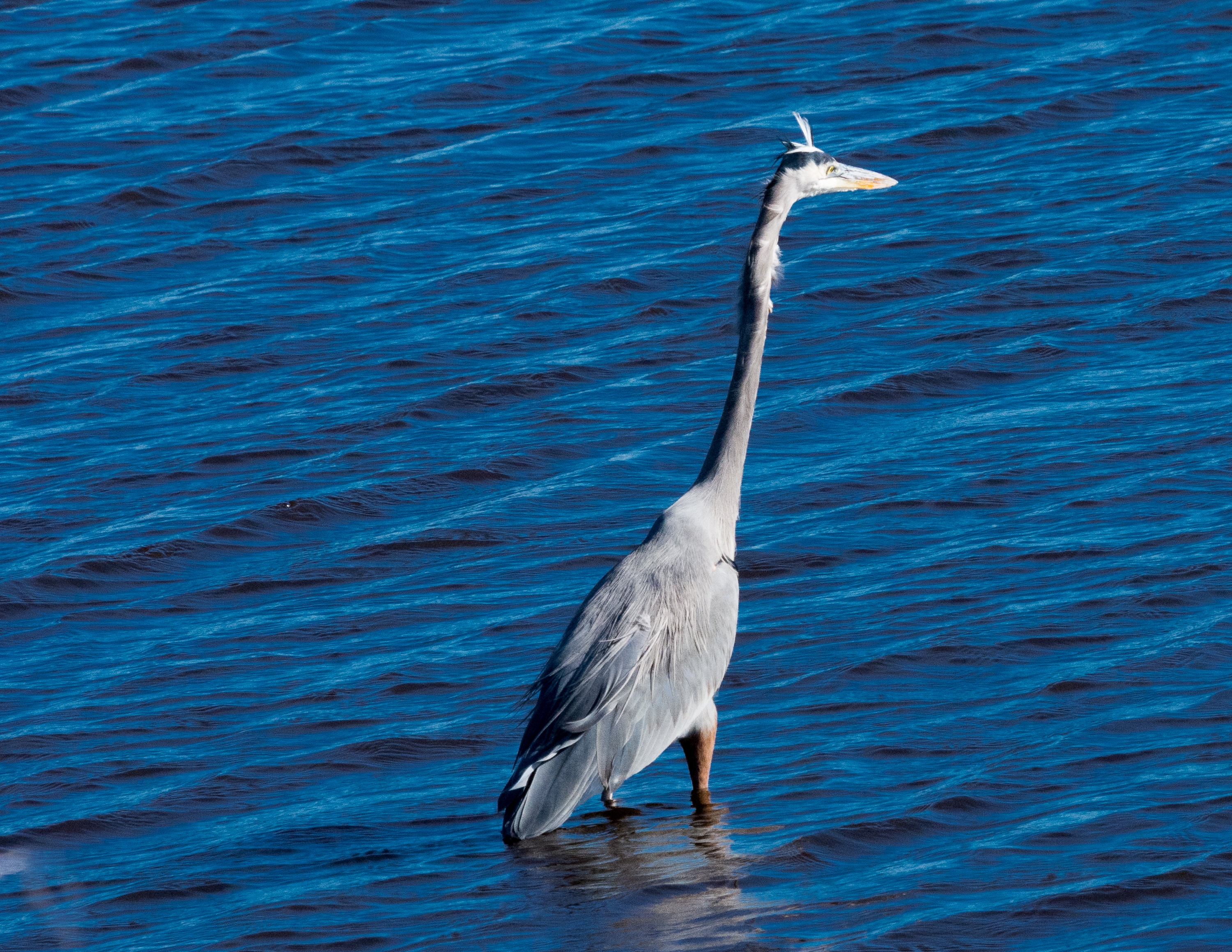 Lin and Michael's Photos