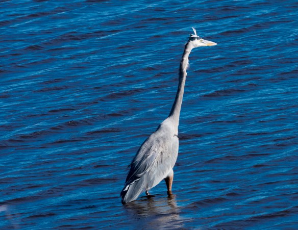 Lin and Michael's Photos