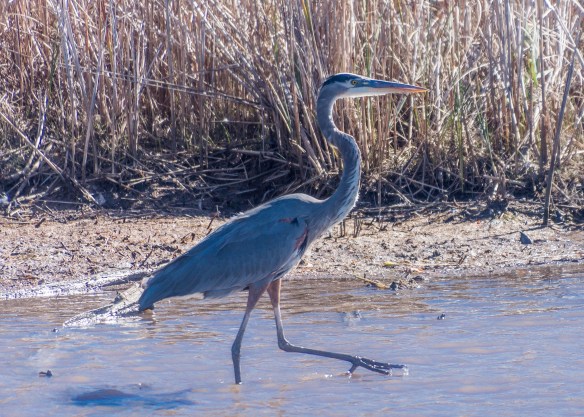 Lin and Michael's Photos