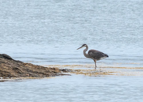 Lin and Michael's Photos 