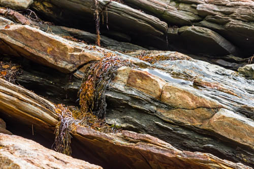 Lin and Michael's Photos