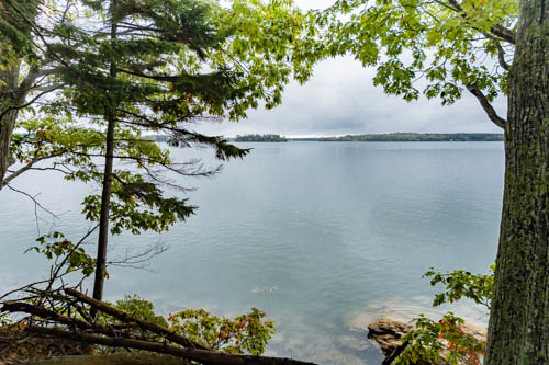 Lin and Michael's Photos