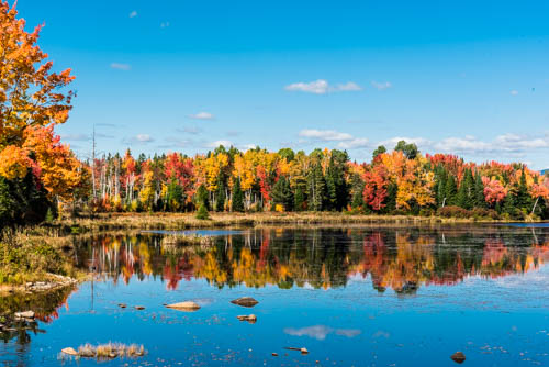 Lin and Michael's Photos