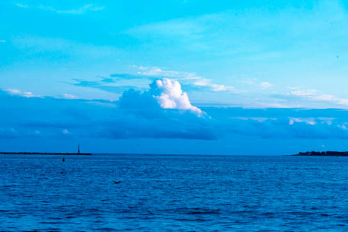 Lin and Michael's Photos