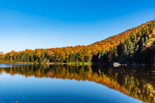 Lin and Michael's Photos