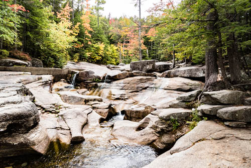 Lin and Michael's Photos