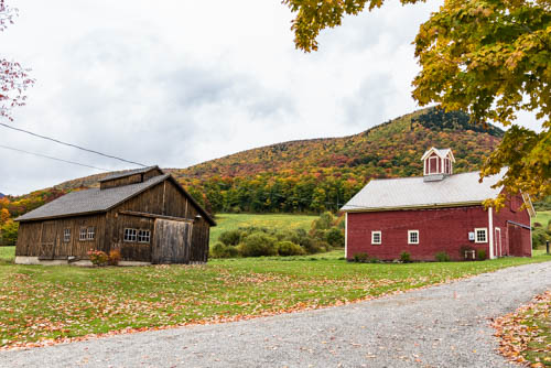 Lin and Michael's Photos