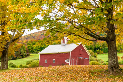 Lin and Michael's Photos