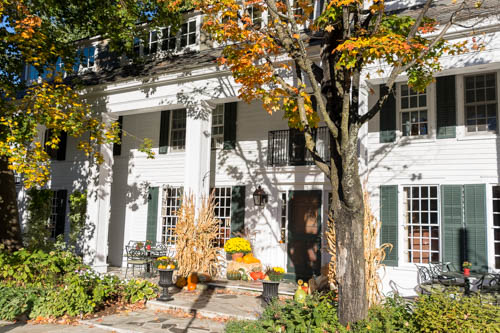 Lin and Michael's Photos