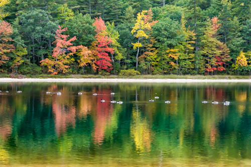 Lin and Michael's Photos