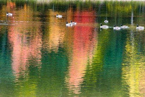 Lin and Michael's Photos