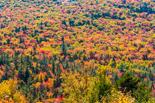 Lin and Michael's Photos